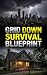 GRID DOWN SURVIVAL BLUEPRINT by Freeman GM