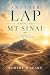 Another Lap Around Mt Sinai by Robert D Sears