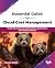 Essential Guide to Cloud Co...
