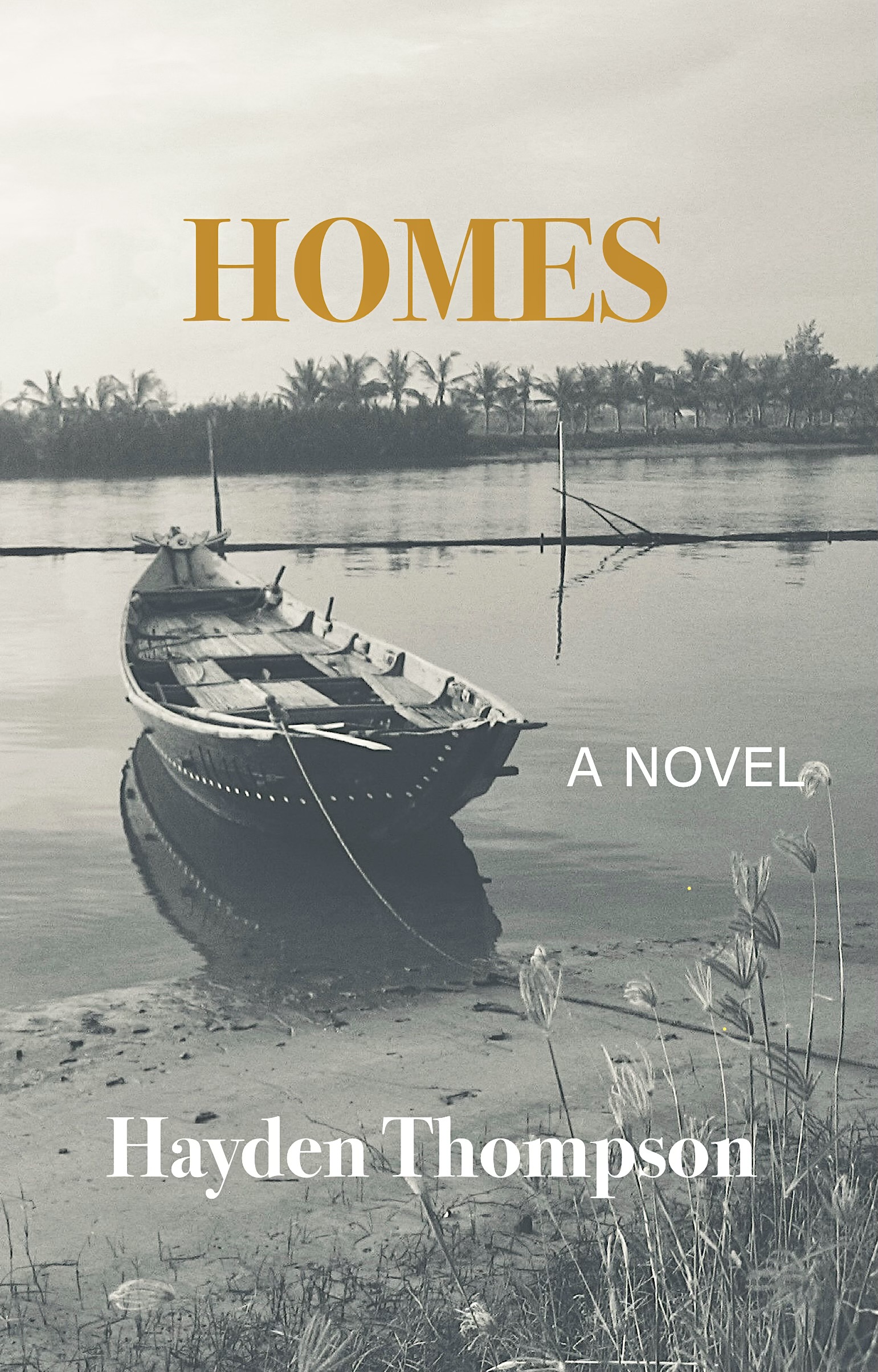 Read HOMES: A NOVEL