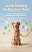 Leash Training for Reactive...