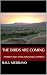 The Birds Are Coming by Raul Medrano The Birds Are Coming by Raul Medrano