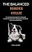 The Balanced Border Collie: The Biological Blueprint to Regulate Excitement, Channel Intelligence, and Build Real-World Reliability