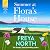 Summer at Flora's House: A ...