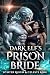 Dark Elf's Prison Bride by Wynter Raven