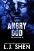 Angry God (All Saints High, #3)