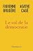 Le vol de la démocratie