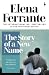 The Story of a New Name (The Neapolitan Novels, #2)