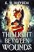 The Light Between Wounds: A spellbinding forbidden love urban romantasy, filled with angel-and-demon mythology, and end-of-the-world stakes, NEW for 2027! (Relics of Ruin Book 1)