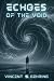 Echoes of the Void
