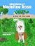 Adventures of Madeline Rose...