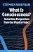 What Is Consciousness? Some...