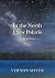 In The North I Saw Polaris:...