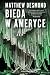 Bieda w Ameryce