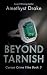 Beyond Tarnish by Amethyst Drake