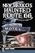 New Mexico's Haunted Route 66 by Sundee Perkins