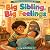 Big Sibling, Big Feelings: ...