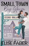 Small Town, Big Storm (Home Ice Heroes #1)