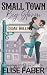 Small Town, Big Storm (Home Ice Heroes #1)