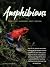 Amphibians