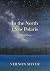 In The North I Saw Polaris:...