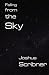 Falling from the Sky