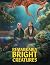 Remarkably Bright Creatures: Screenplay