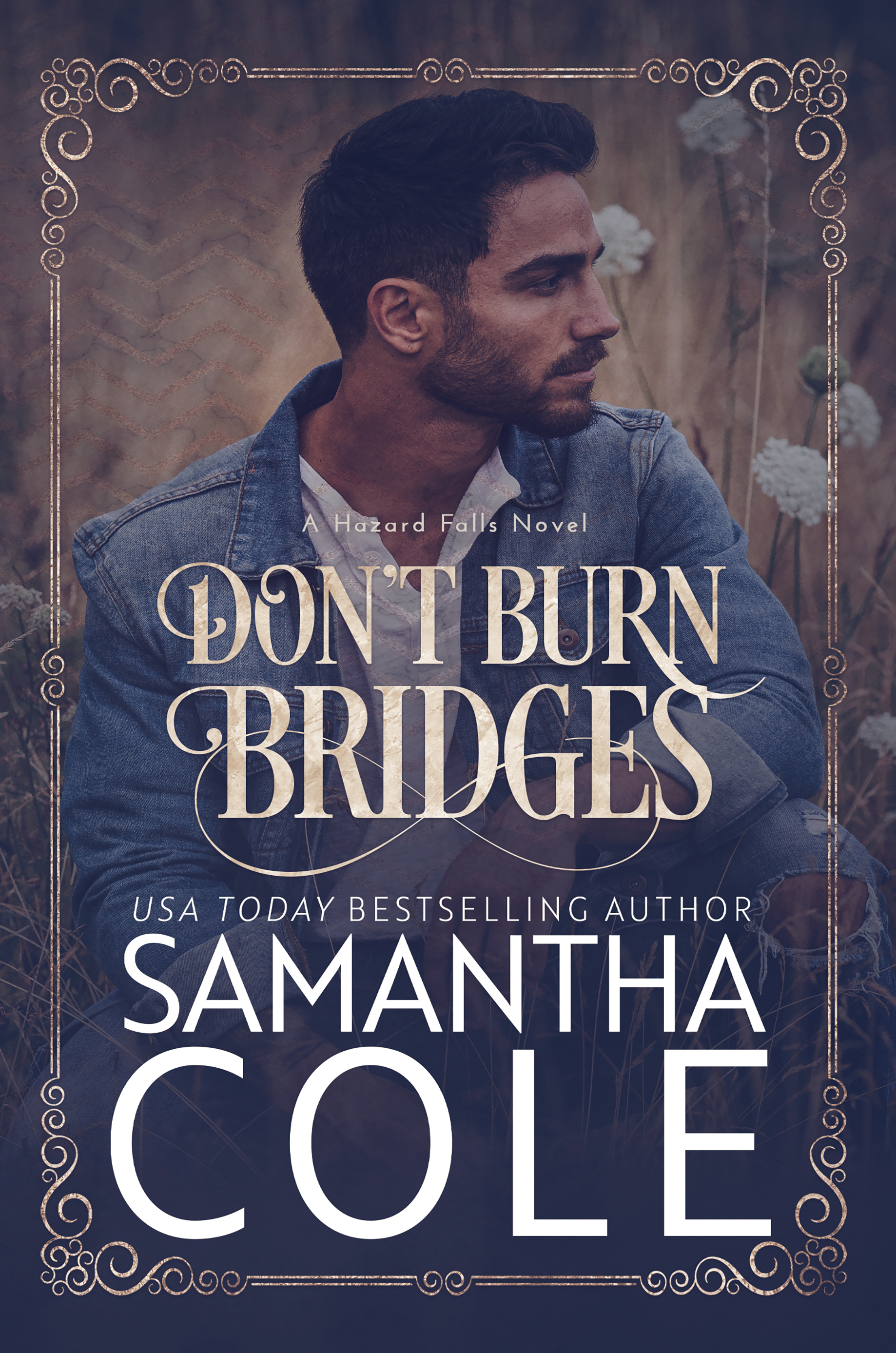 Read Don't Burn Bridges (Hazard Falls #3)