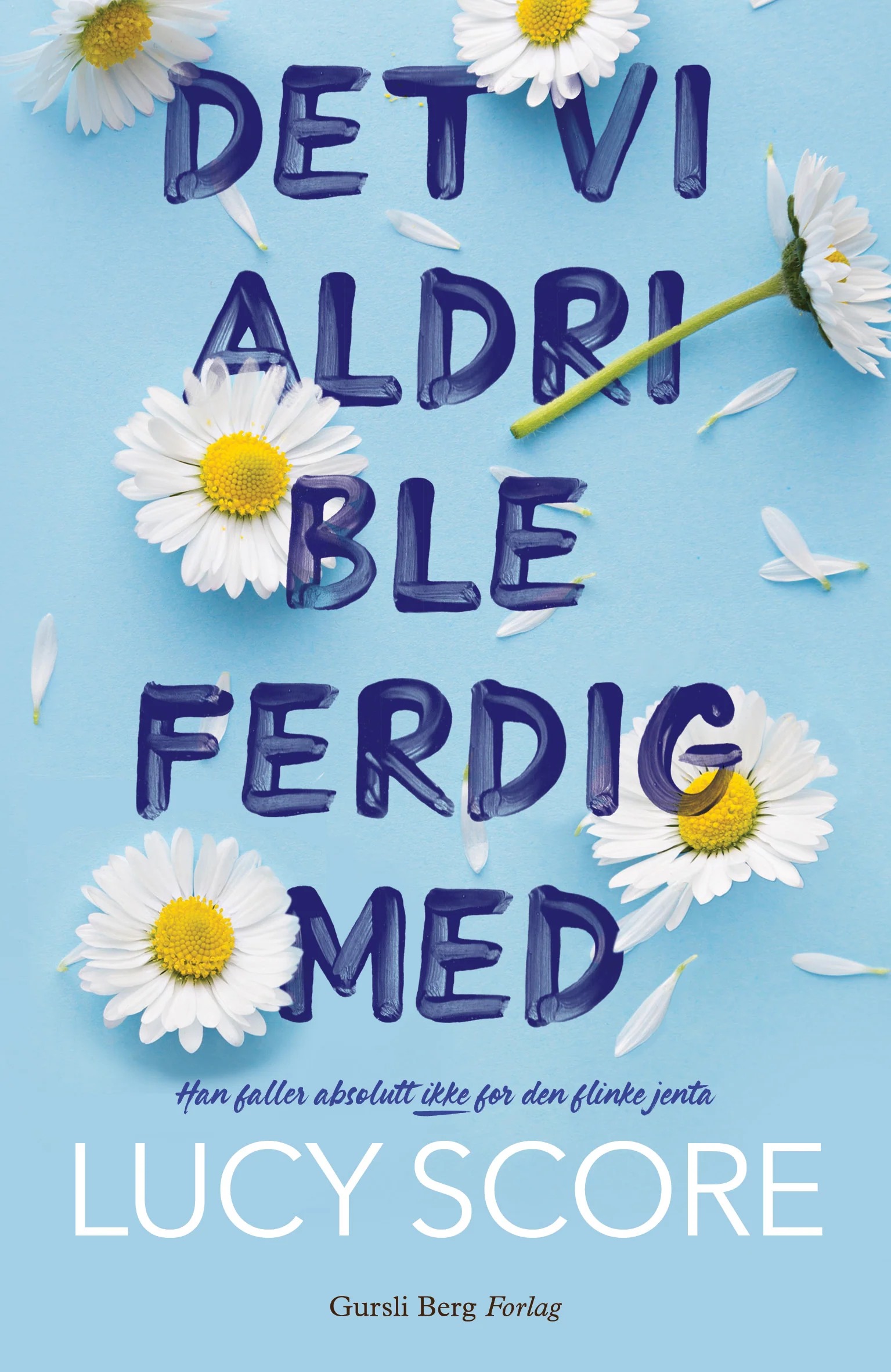 Det vi aldri ble ferdig med (Knockemout, #1)