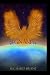 Begin Anew