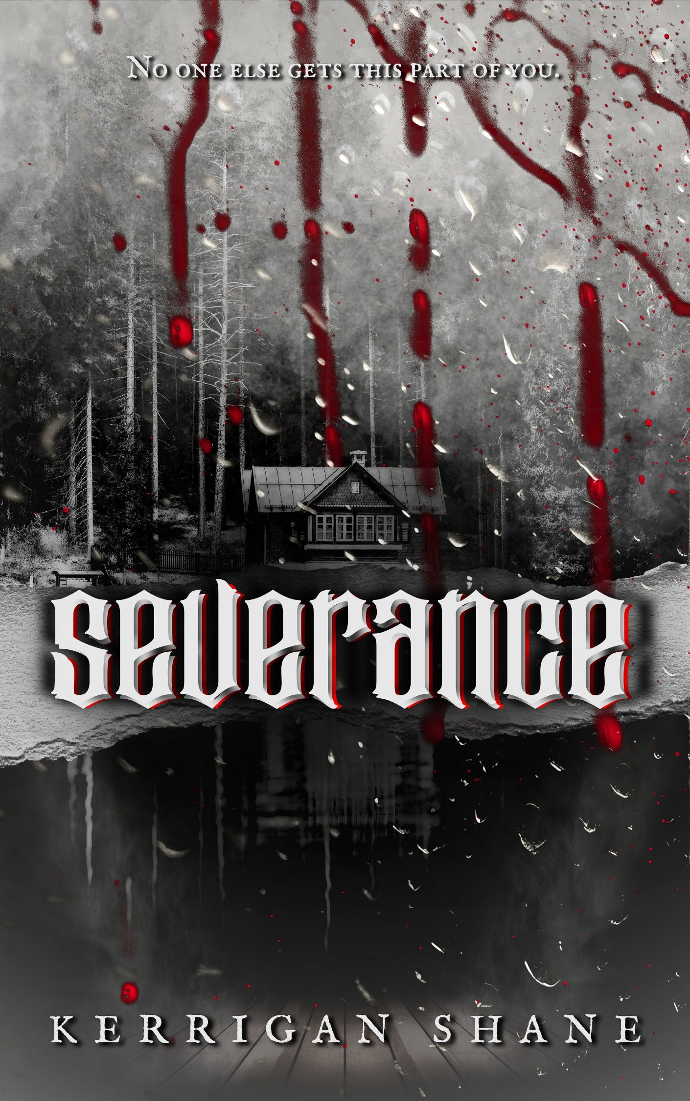 Severance: An Erotic Horror Novella (The Red Night Archive Book 2)