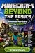 Beyond the Basics by Berry Games
