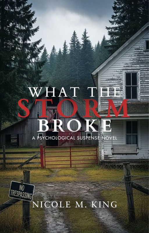 What The Storm Broke: A Psychological Suspense Novel