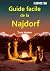 Guide facile de la Najdorf