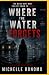 Where The Water Forgets by Michelle Bonomo