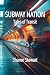 Subway Nation: Tales of Tra...