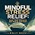 Mindful Stress Relief: Quie...