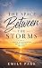 The Space Between The Storms