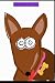 Salsa The Tiny Dog