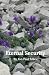 Eternal Security