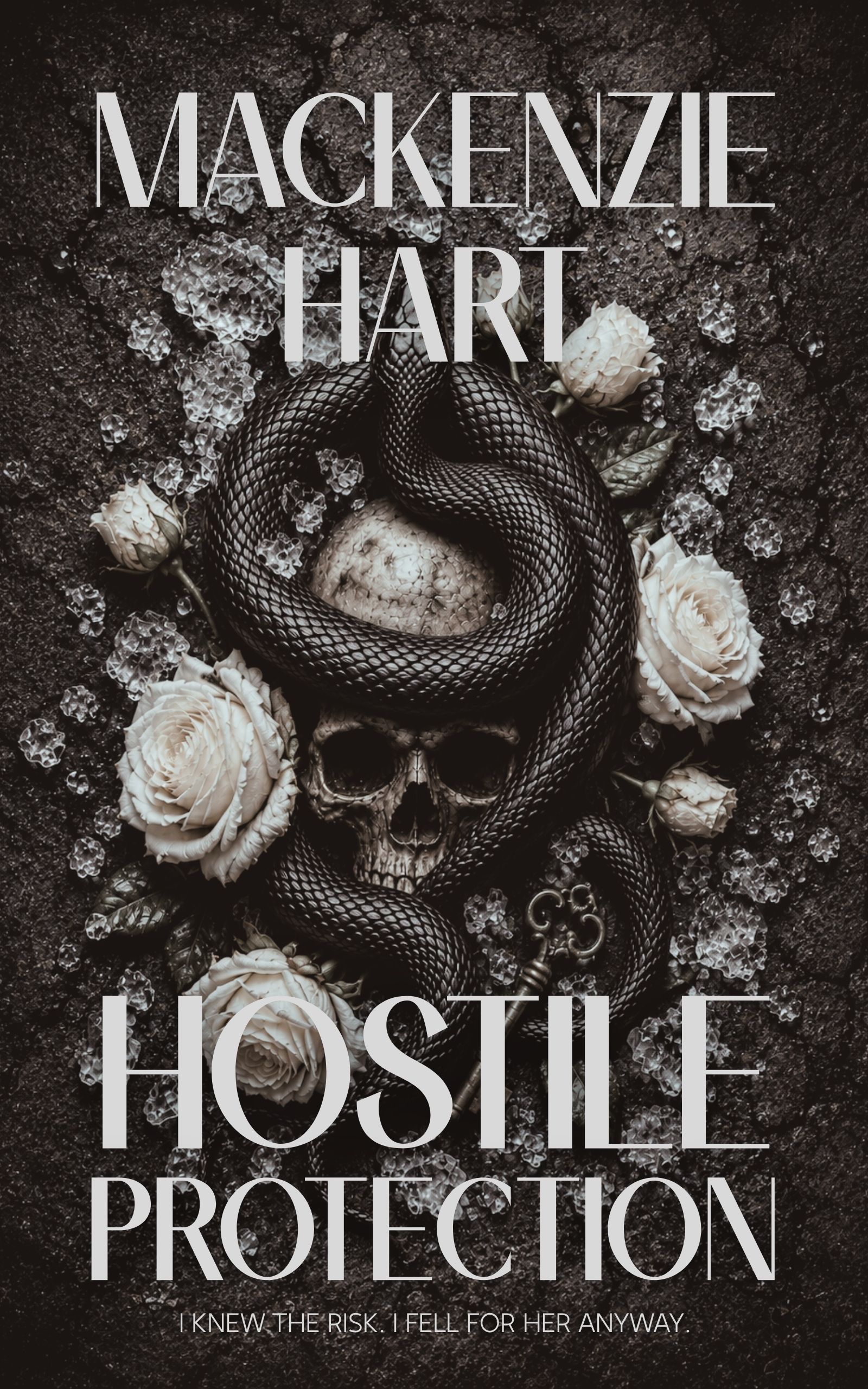 Hostile Protection (Hostile Hearts Book 1)