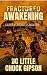 Fractured Awakening by D.C. Little Fractured Awakening by D.C. Little