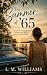 The Summer of '65 by L. M. Williams