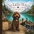 The Little Things by Diana Rae Bookery