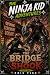 The Bridge That Shook: A Ni...