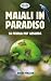 Maiali in Paradiso: La favo...