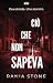 Ciò Che Non Sapeva