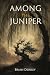Among the Juniper