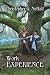 Work Experience (Schooled in Magic)
