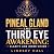 Pineal Gland and Third Eye ...